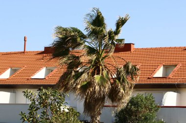 Çatı - binanın üst yapısı 