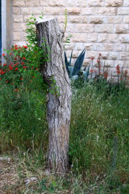 Türü ve malzemenin doku 