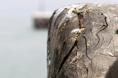 Türü ve malzemenin doku 