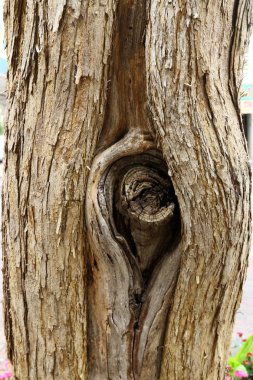 Türü ve malzemenin doku 