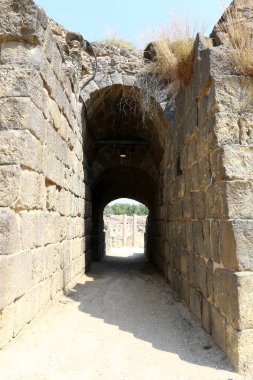 Beit She'an Antik şehir 