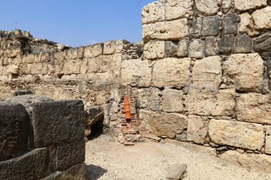 Beit She'an Antik şehir 