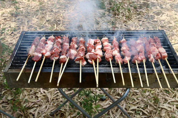 Koorts in de grill — Stockfoto