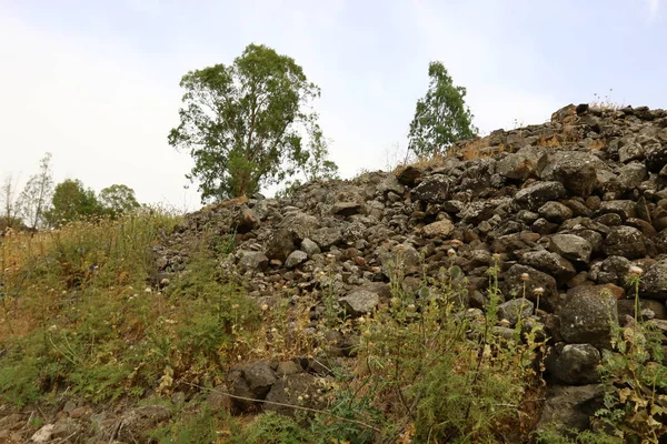 Por todas partes hay piedras — Foto de Stock