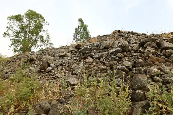 Por todas partes hay piedras — Foto de Stock