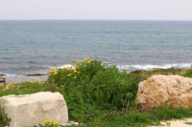 Her yerde taşlar vardır 