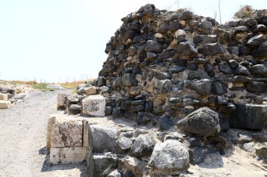 Her yerde taşlar vardır 