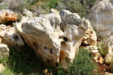 Her yerde taşlar vardır 