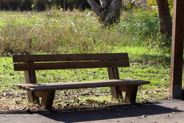 Bänken står i parken — Stockfoto