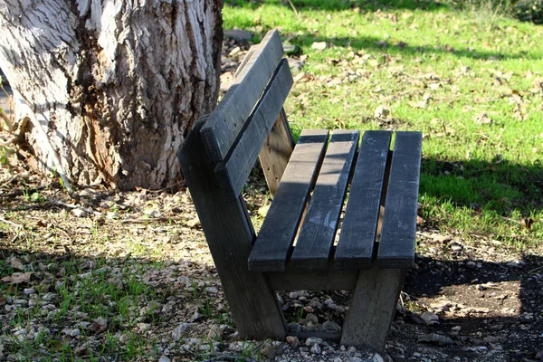 Bänken står i parken — Stockfoto