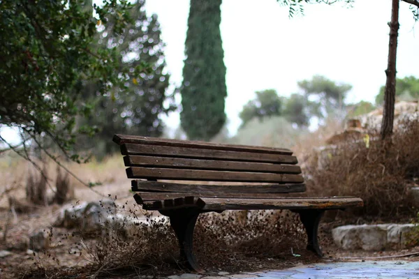 Bench stands in the park — Stock Photo, Image