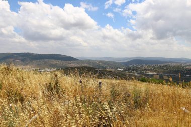 Yaz aylarında Kuzey İsrail 