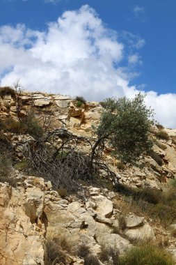 Yaz aylarında Kuzey İsrail 