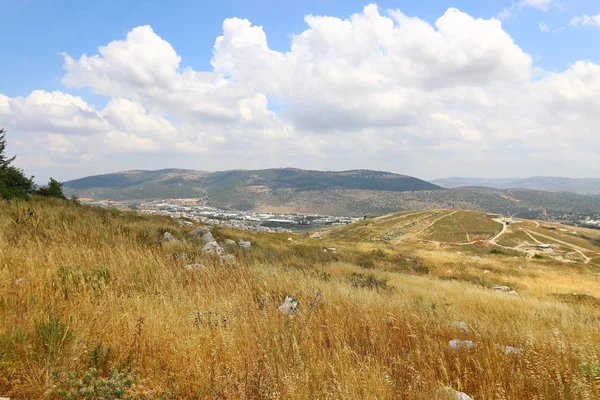 Verano en el norte de Israel — Foto de Stock