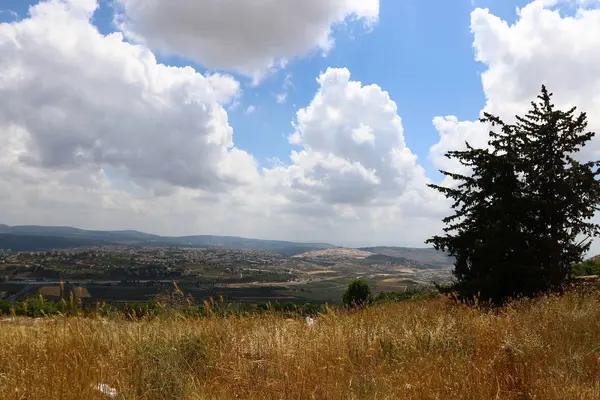 イスラエル共和国の北の夏 — ストック写真