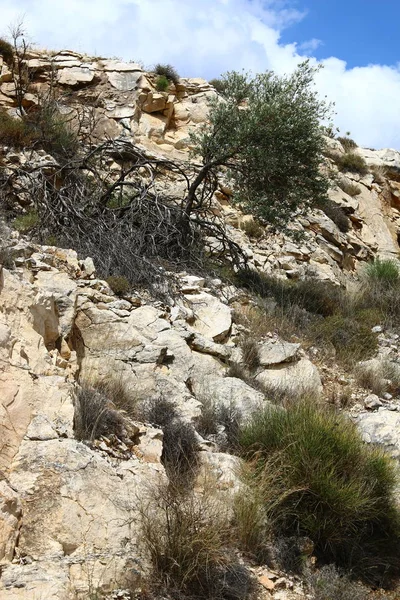 Yaz aylarında Kuzey İsrail 