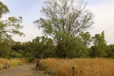 Çitin her zaman sınırı olduğunu  