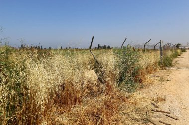 Çitin her zaman sınırı olduğunu  