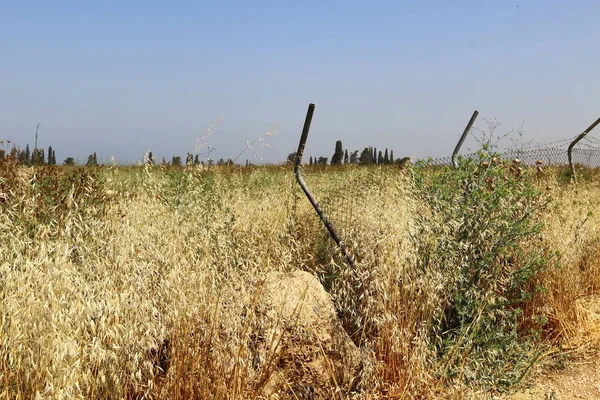 Çitin her zaman sınırı olduğunu  