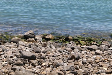 Celile Denizi kıyısında. 