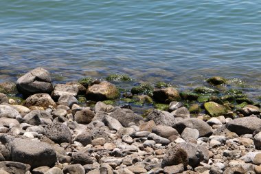 Celile Denizi kıyısında. 