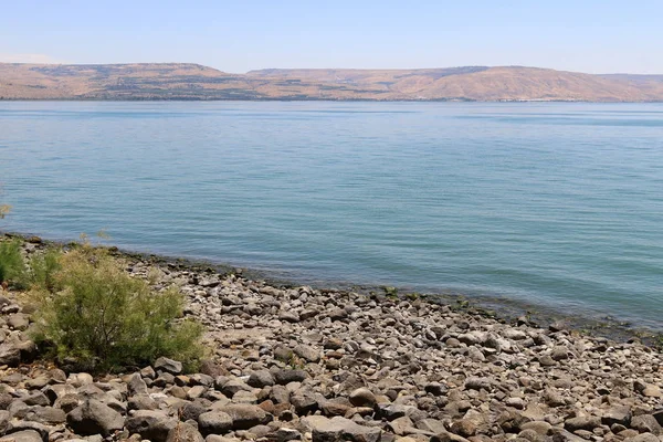 Shore of the Sea of Galilee — Stock Photo, Image