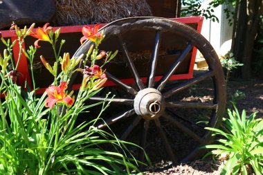 Tarihin tekerlek iplik 