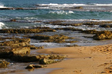 Akdeniz kıyısında 