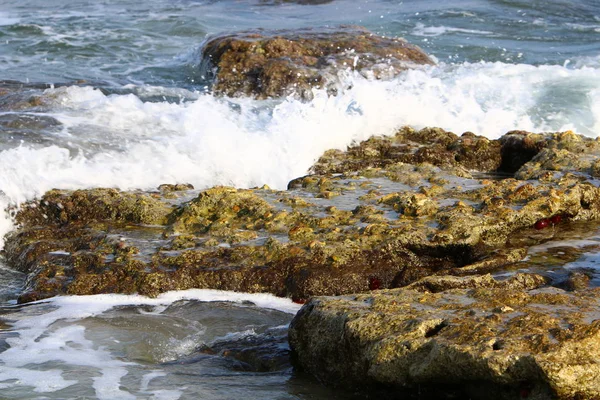 Akdeniz kıyısında 