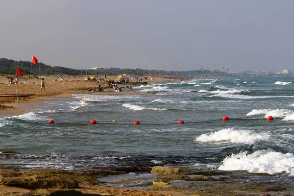 stock image Shore of the Mediterranean Sea 