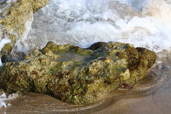 Shore of the Mediterranean Sea — Stock Photo, Image