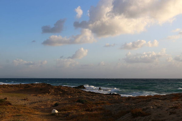 Shore of the Mediterranean Sea 