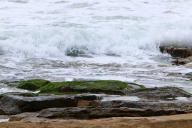 Akdeniz kıyısında 