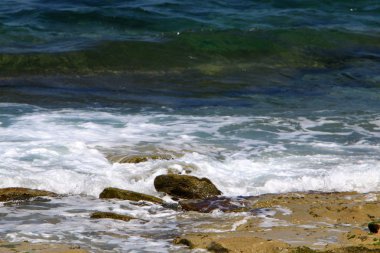 Akdeniz kıyısında 