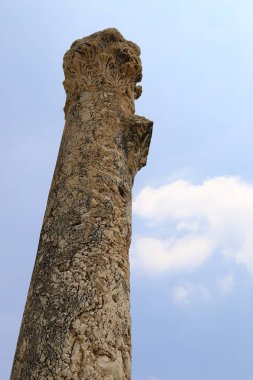 Görünümü ve doku 