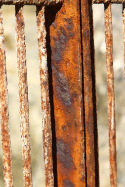 Görünümü ve doku 