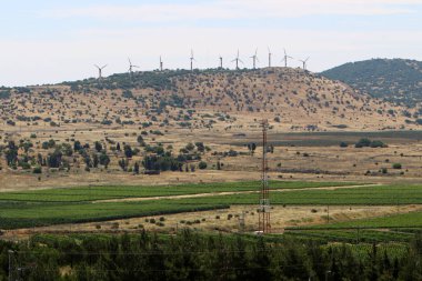 Doğa makro resimleri 