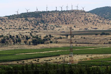 Doğa makro resimleri 