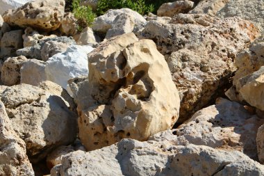 Taşlar yalan üzerine deniz kıyısı 