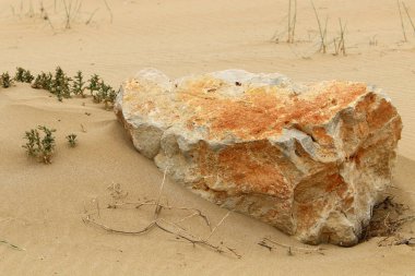 Taşlar yalan üzerine deniz kıyısı 