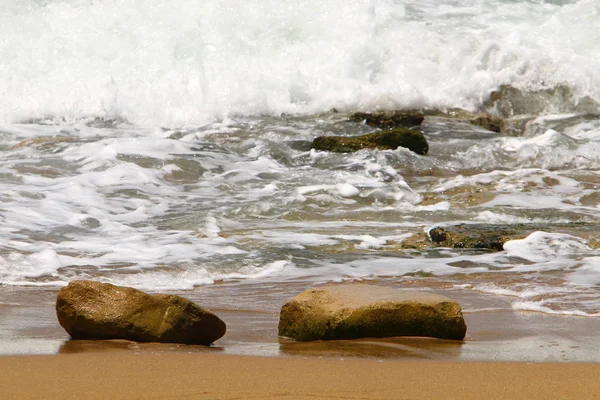 Pedras jazem no litoral — Fotografia de Stock
