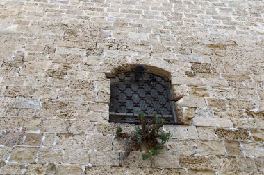 Tel Aviv ile yürümek 