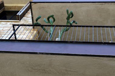 Tel Aviv ile yürümek 