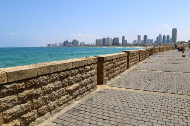 Tel Aviv ile yürümek 