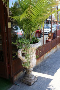 Tel Aviv ile yürümek 