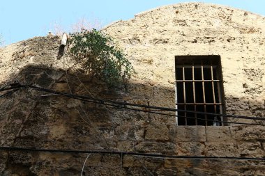 Tel Aviv ile yürümek 