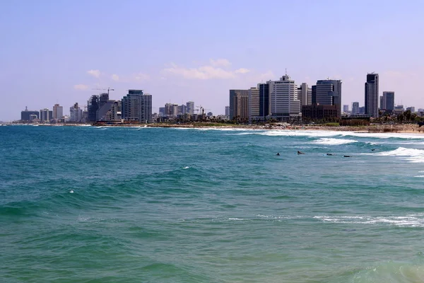 Tel Aviv ile yürümek 