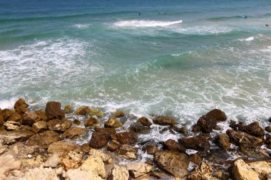 Tel Aviv ile yürümek 