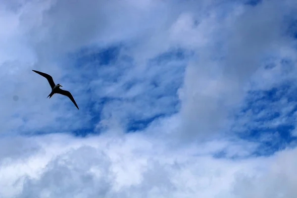 Um céu enorme acima de sua cabeça — Fotografia de Stock