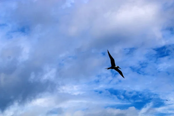 Um céu enorme acima de sua cabeça — Fotografia de Stock